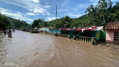  إعصار بيريل يضرب جامايكا مع ارتفاع عدد الوفيات وانتشار الدمار