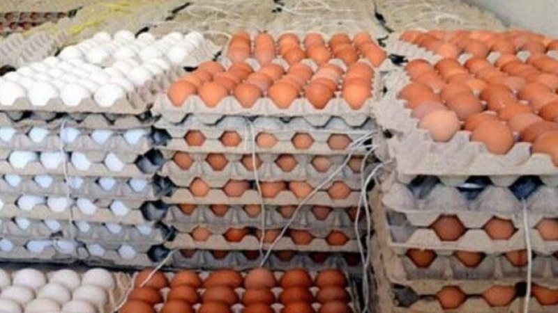 أسعار البيض اليوم،