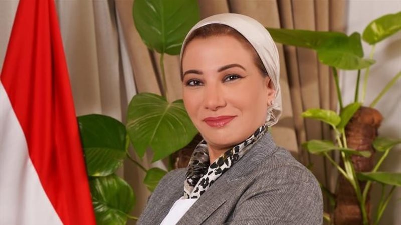 ياسمين فؤاد وزيرة