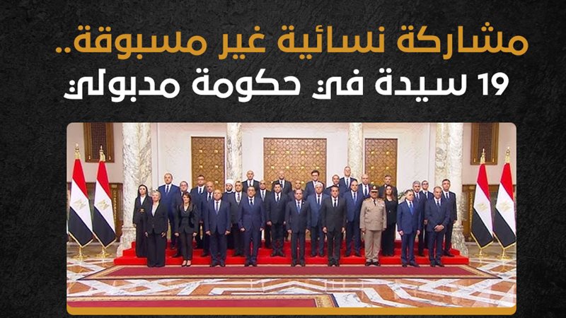 الحكومة، فيتو 