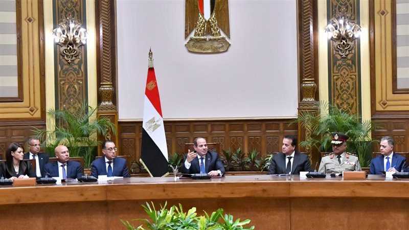 الرئيس السيسي والحكومة