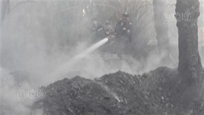 نشوب حريق بمزرعة نخيل وإخماد آخر في الوادي الجديد 