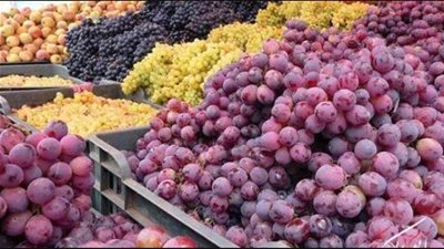 أسعار الفاكهة اليوم، العنب الرومي يسجل 20 جنيهًا بسوق العبور