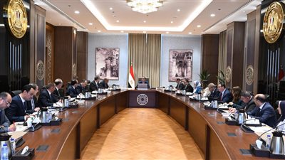 في أول اجتماع للحكومة الجديدة، مدبولي يتابع إجراءات حل مشكلة الكهرباء ويكشف عن تكليف من الرئيس 