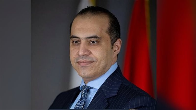 وزير الشئون النيابية،