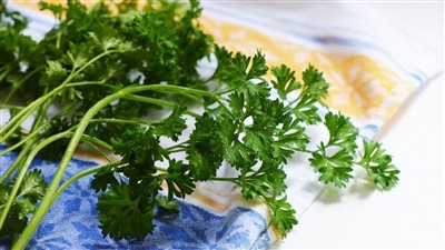 فوائد البقدونس، يحمى من أمراض القلب والسرطان ويقوى المناعة والعظام 