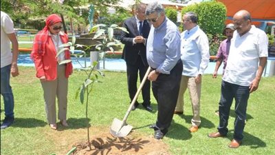 غرس أشجار نخيل ومانجو فى مركز الطفل للحضارة احتفالا باليوم العالمي للبيئة (صور)