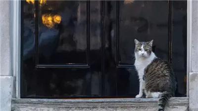 عاصر 6 رؤساء حكومات، حكاية 