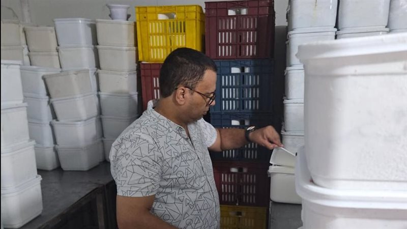 حملات بالدقهلية،
