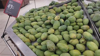  انخفاض الدبشة وارتفاع الصديقة، تعرف على أسعار المانجو في سوق العبور