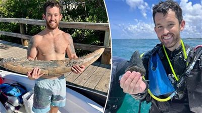  غواص يعثر على ناب حيوان منقرض