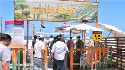 رفع الرايات الصفراء والخضراء في شواطئ شرق وغرب الإسكندرية 