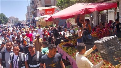 حملة مكبرة لإزالة إشغالات سوق الهانوفيل غرب الإسكندرية 