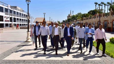 محافظ الأقصر يشدد على رفع كفاءة الطرق وتشجيرها 