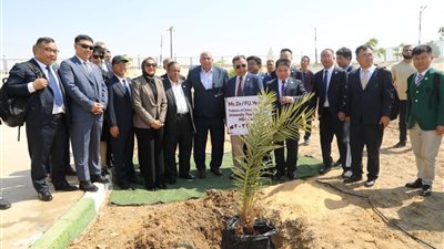 محافظ الوادي الجديد يستقبل وفد الرابطة الصينية للتبادل الزراعي