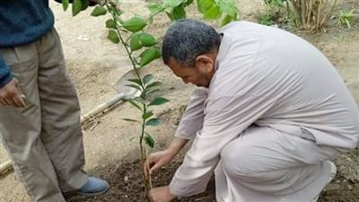 تسبب مشاكل للفقراء، أستاذ أراضي يحذر من زراعة الأشجار المثمرة بالشوارع 