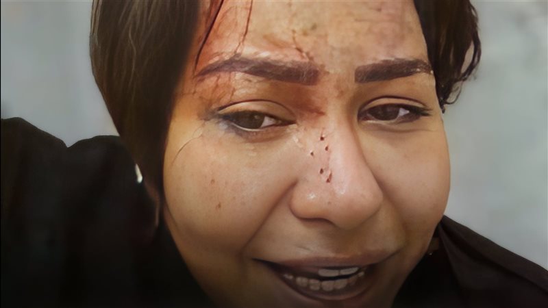 الفنانة شيرين عبد