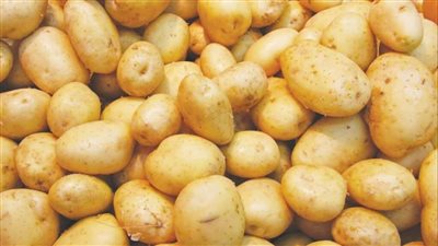 شعبة الخضروات تكشف سبب ارتفاع البطاطس لـ30 جنيها (فيديو)