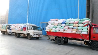 ارتفاع إجمالي توريد القمح لصوامع الشرقية إلى 615 ألف طن 