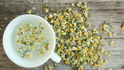 فوائد البابونج، يهدئ الأعصاب ويعزز من جمال البشرة والشعر 