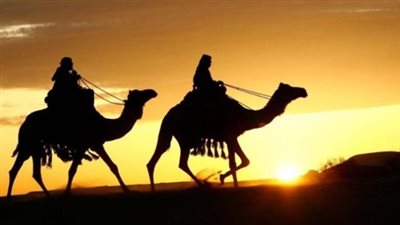 نساء لهن في الهجرة شأن، أول هاشمية وأول قرشية تهاجر إلى المدينة