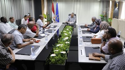 محافظ أسوان: تقييم شامل تمهيدًا لتغييرات في المحليات 