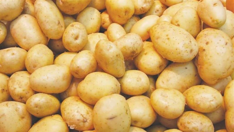 ارتفاع اسعار البطاطس