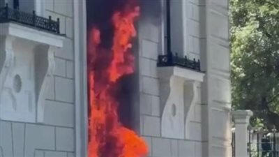  رجل قعيد يلقي زجاجتي مولوتوف على القصر الملكي النرويجي (فيديو)