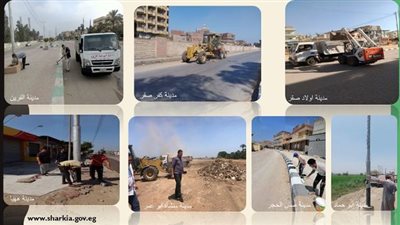 حملات نظافة وتجميل بشوارع الشرقية 