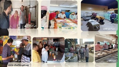 حملات تفتيشية مكثفة لرؤساء المراكز والمدن والأحياء بالشرقية 