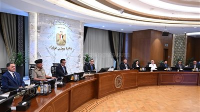 مجلس الوزراء يوافق على قرار الرئيس بالعفو عن بعض المحكوم عليهم بمناسبة ذكرى ثورة 23 يوليو 