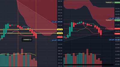 خبير أسواق مال: البورصة المصرية تخطت مستويات قياسية خلال تداولات أغسطس 