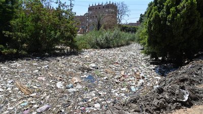 إحالة المسئول عنها للتحقيق، محافظ أسيوط يوجه بتطهير ترعة السنط من القمامة (صور)