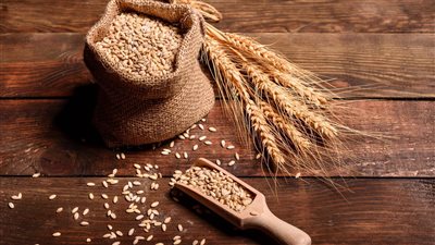  يعود إلى القرن الـ16، العثور على أكبر مخزن للحبوب في روسيا