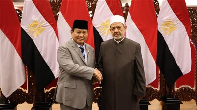 خلال لقائه الرئيس الإندونيسي، شيخ الأزهر يطالب بموقف إسلامي مشترك لوقف إطلاق النار في غزة 