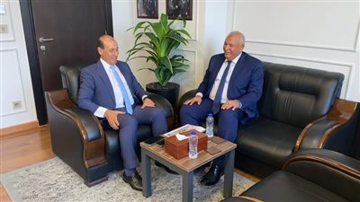 محافظ الوادي الجديد يناقش الموقف التنفيذي لمشروعات جهاز التعمير