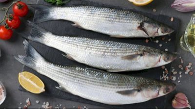 فوائد السمك البوري، يقوي العظام والمفاصل ويحمي من أمراض القلب 