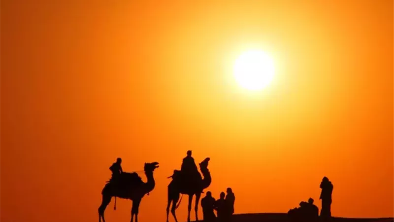 نساء لهن في الهجرة