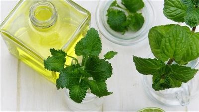 فوائد زيت النعناع، يحسن المزاج ويخفف التوتر ويساعد على التركيز
