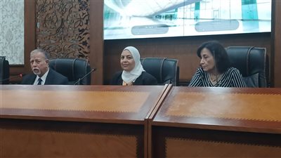 البيئة: دراسة تمويل الطاقة الشمسية لتوفير الكهرباء للمشروعات الصناعية 