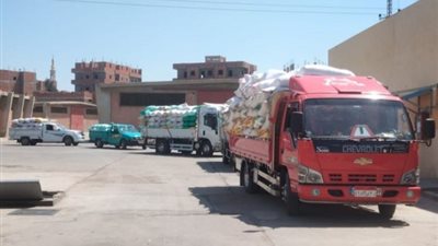 استمرار توريد القمح لصوامع الشرقية