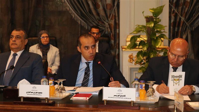 المستشار محمود فوزي