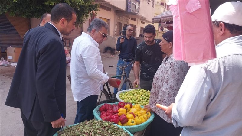 محافظ الدقهلية في