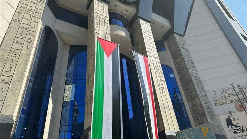 نقابة الصحفيين، فيتو
