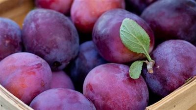 فوائد البرقوق، يحمي من أمراض القلب والسرطان ويقوى المناعة