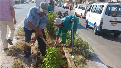 زراعة 400 شتلة بشوارع الأقصر ضمن مبادرة 100 مليون شجرة