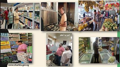حملات مكثفة لضبط أسعار السلع بالشرقية 