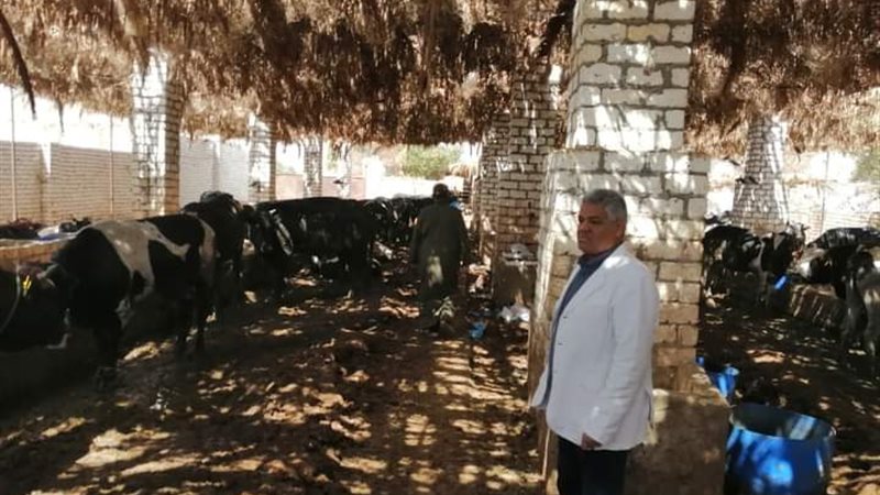 تحصين الثروة الحيوانية،
