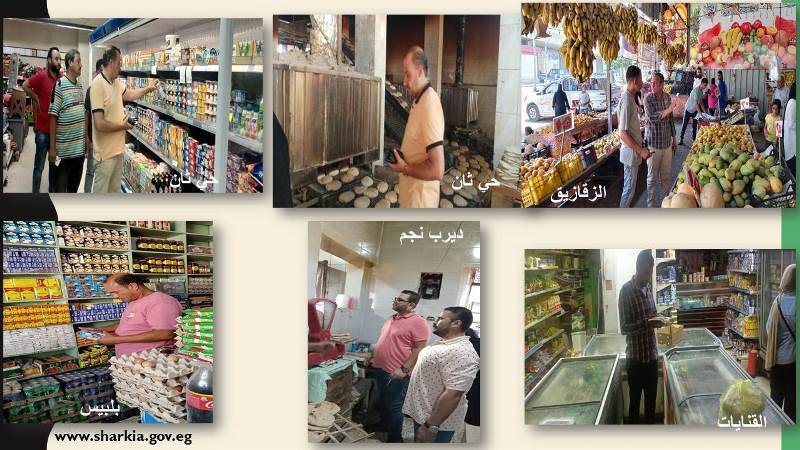 حملات يومية لضبط