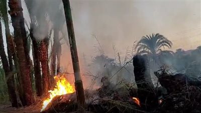 للمرة الثانية خلال 48 ساعة، حريق مجهول بطريق أسيوط سوهاج يثير ذعر المواطنين (فيديو) 